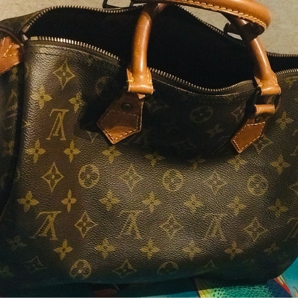 Louis Vuitton Monogram Canvas Handbag